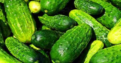 cucumber